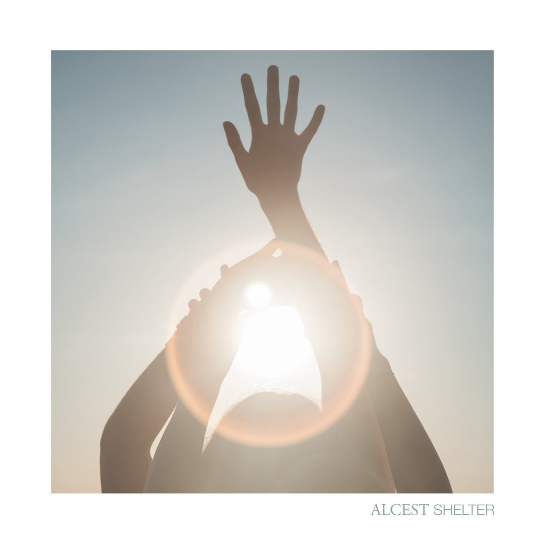 Shelter (Ltd. Gatefold / Bonus 7" mit Bonustrack / Hardcover-Photobuch) [Vinyl LP], Vinyl