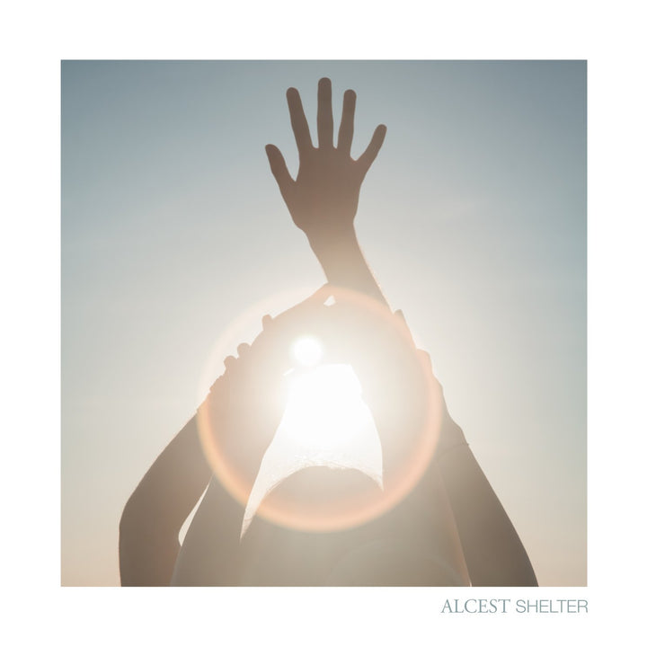 Shelter (Ltd. Gatefold / Bonus 7" mit Bonustrack / Hardcover-Photobuch) [Vinyl LP], Vinyl
