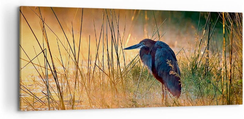 Panorama Bilder auf Leinwand 100x40cm Leinwandbild Vogel Natur Wasser Gross Wanddeko Bild Schlafzimm