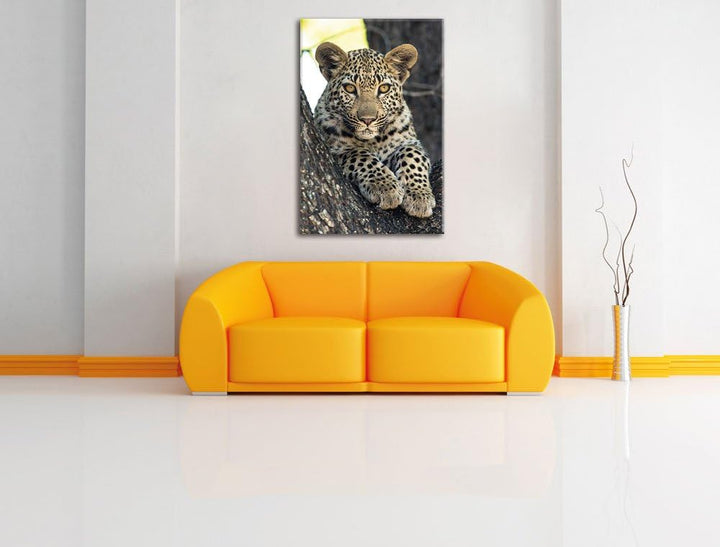 Pixxprint Leopardenbaby, Format: 100x70 auf Leinwand, XXL riesige Bilder fertig gerahmt mit Keilrahm