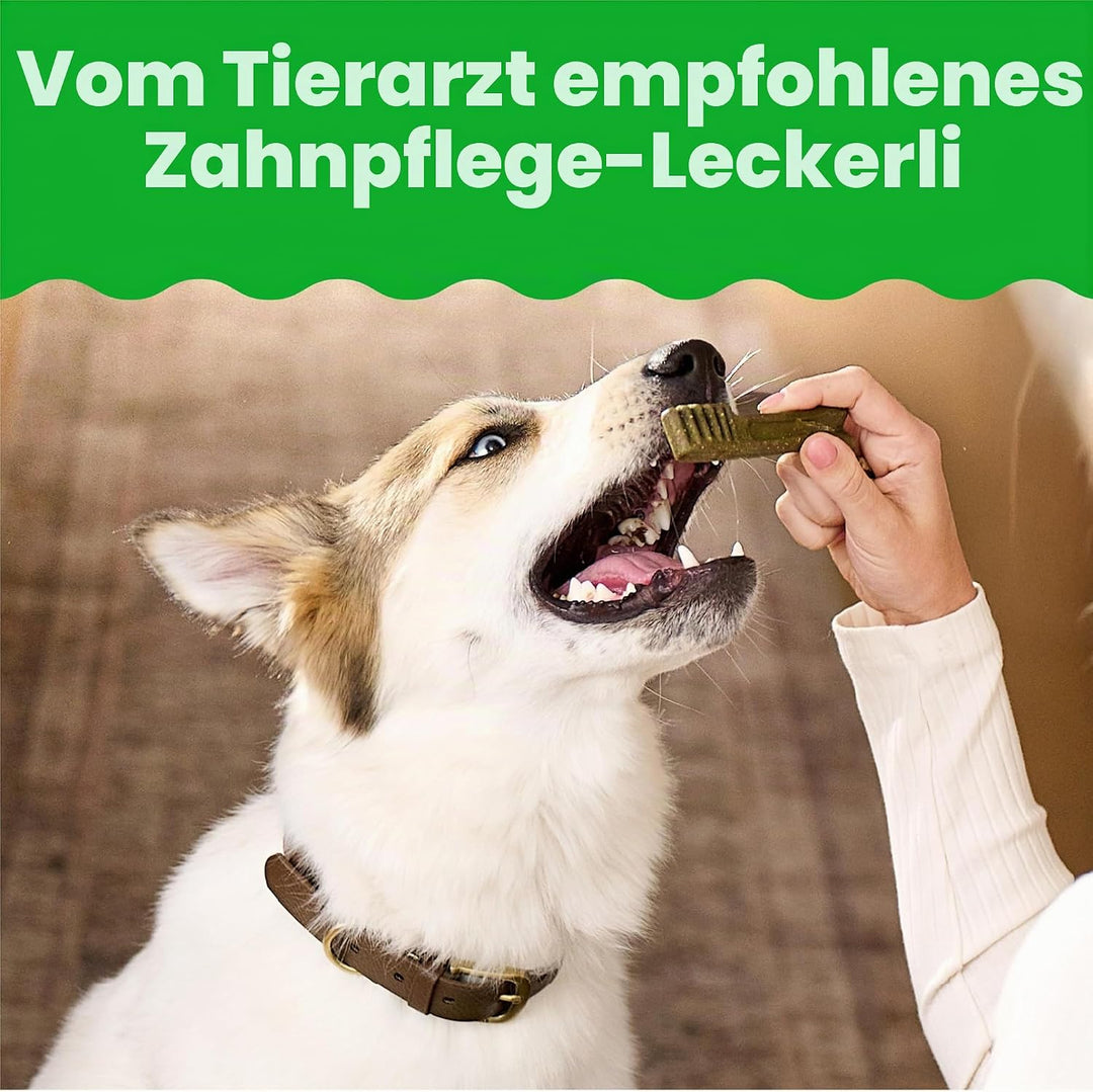 Greenies Original Hundesnacks für die Zähne 1 stück (65er Pack), 1 stück (65er Pack)