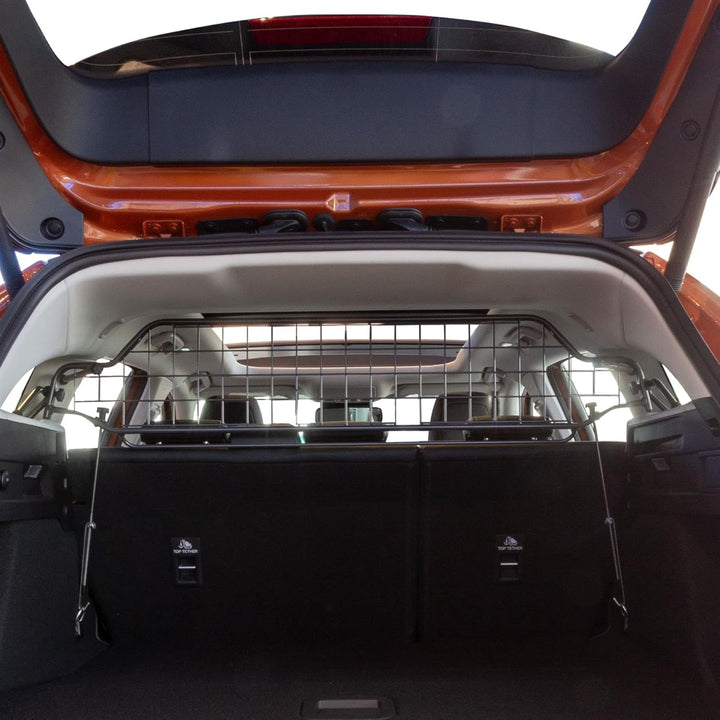 Travall Hundegitter für Ford Focus (2018-) Fahrzeugspezifisches Hundegitter, Kofferraumschutz für Hu