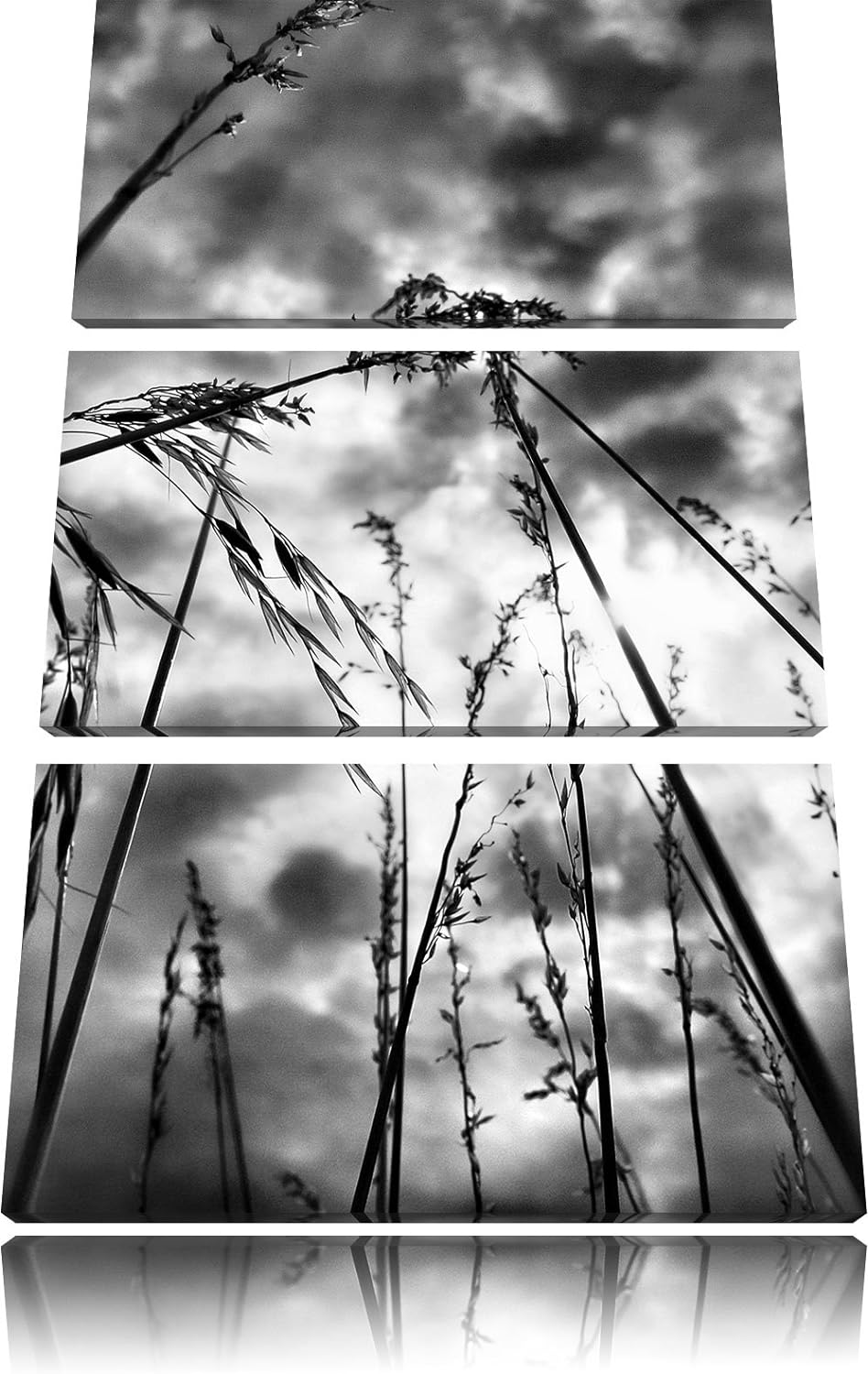 Pixxprint Monocrome, Grashalme mit dunklem Himmel 3-Teiler Leinwandbild 120x80 Bild auf Leinwand