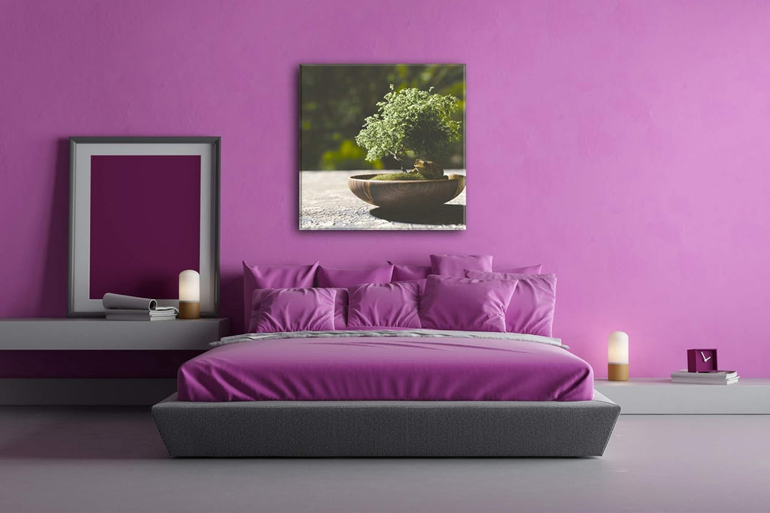 deyoli Kleiner niedlicher Bonsai Format: 70x70 als Leinwandbild, Motiv fertig gerahmt auf Echtholzra