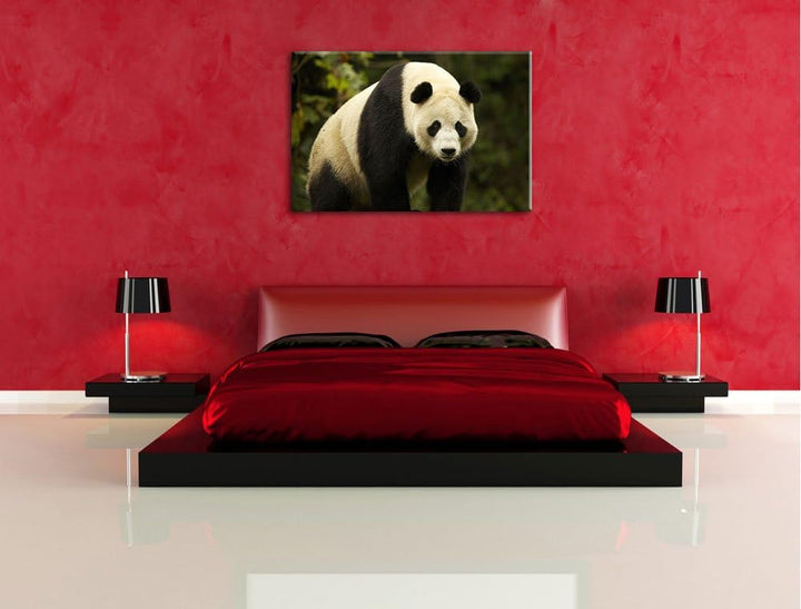 Pixxprint grosser Pandabär Leinwand, XXL riesige Bilder fertig gerahmt mit Keilrahmen, Kunstdruck au
