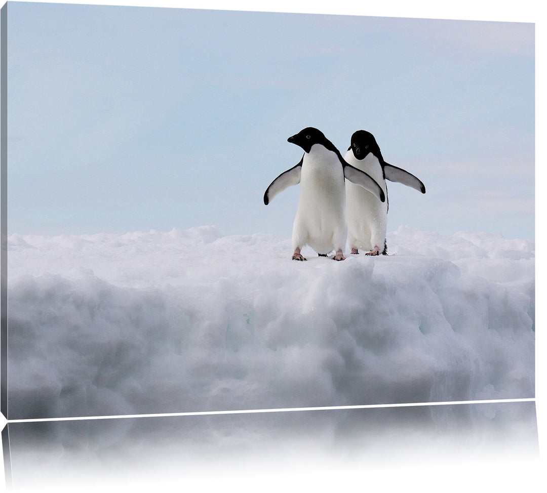 zwei kleine Adeliepinguine auf Eisscholle Leinwand, XXL riesige Bilder fertig gerahmt mit Keilrahmen
