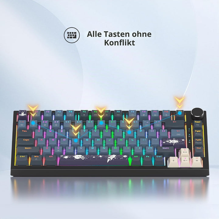 SOLIDEE Verkabelte Mechanische Gaming Tastatur 75 Prozent,hot-swap-fähige Mechanische Tastatur mit G