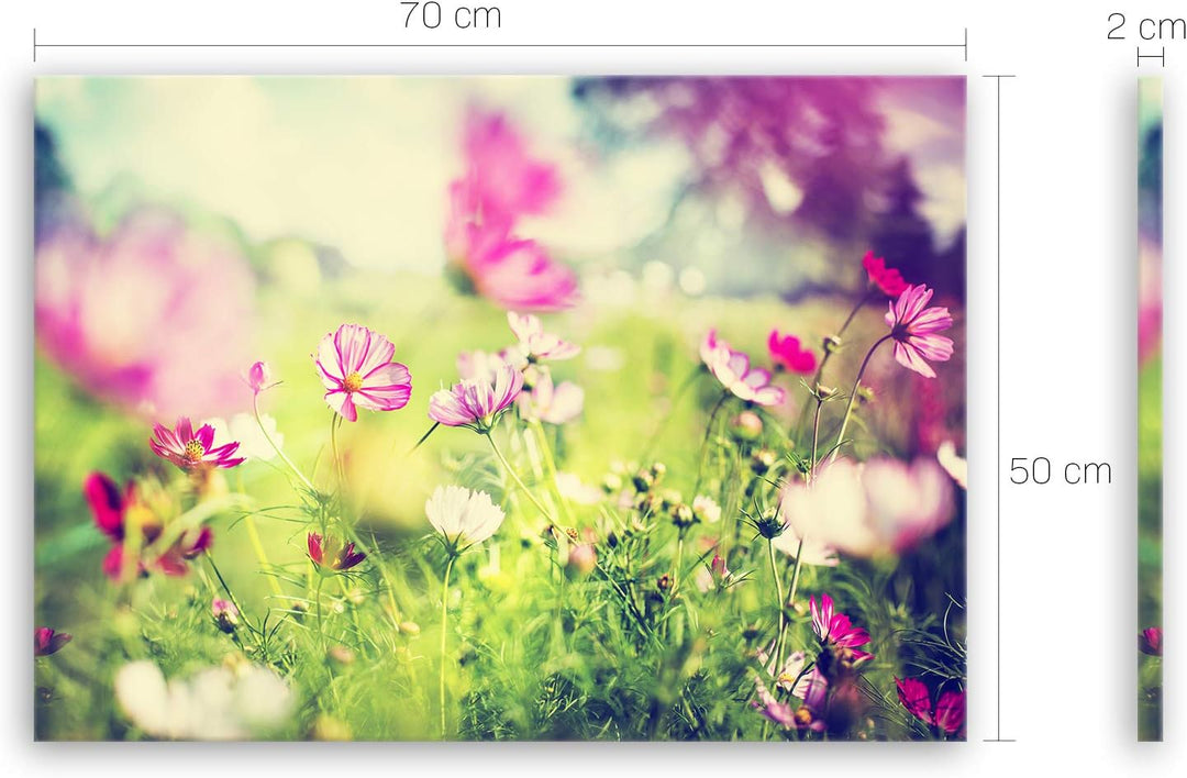 ge Bildet Bild auf Leinwand | Frühling - blumen natur Wiese rosa pink bunt L in 70x50 cm als Wandbil
