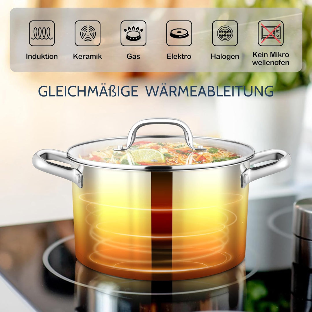 Joyfair 20cm Kochtopf, 3-Lagiger Boden Edelstahl Topf mit Glasdeckel, Suppentopf Induktion für alle