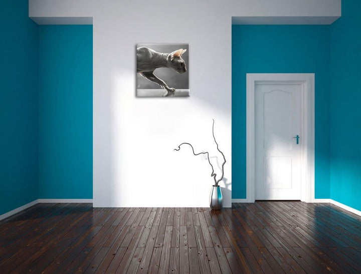 Einzigartige Sphynx Katze, Format: 70x70 auf Leinwand, XXL riesige Bilder fertig gerahmt mit Keilrah
