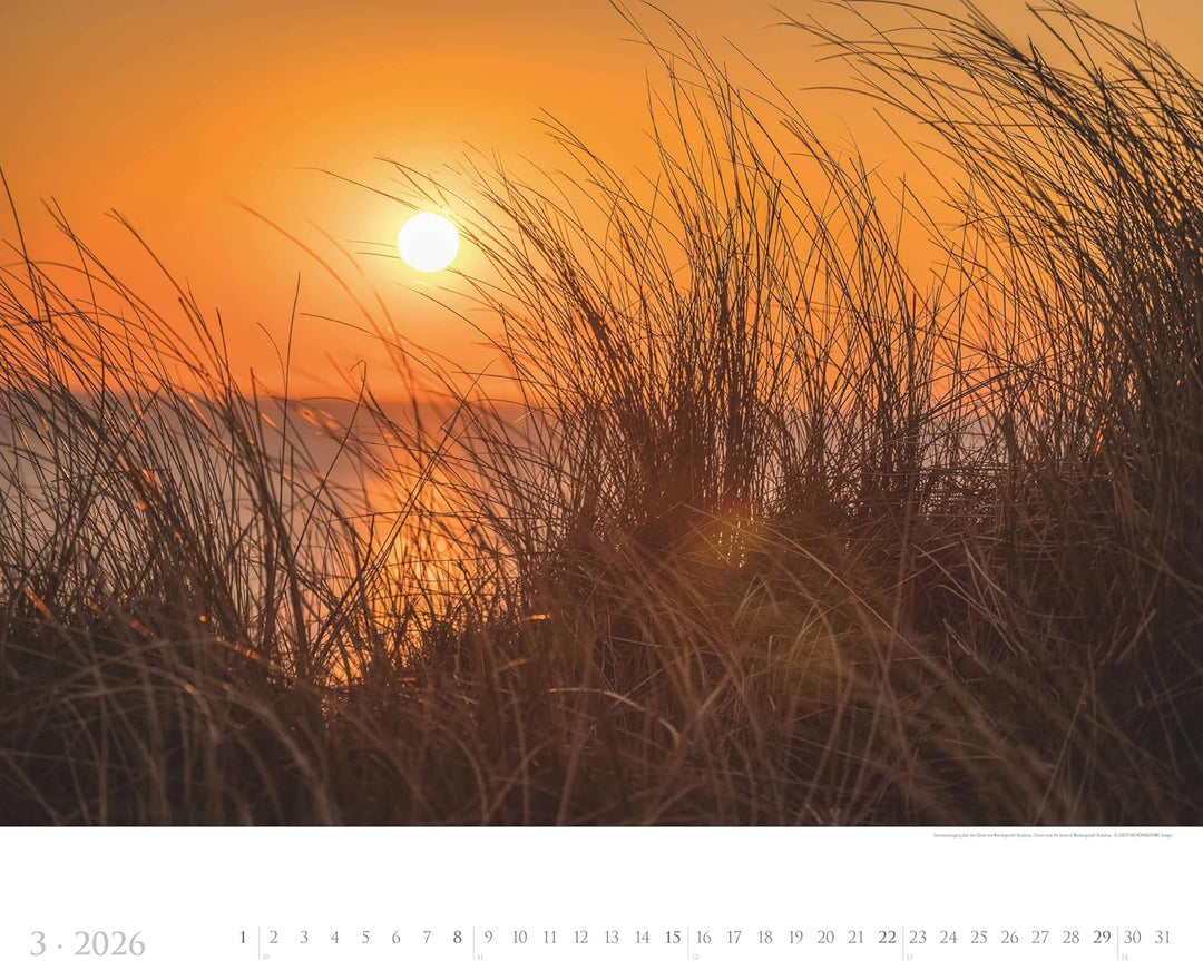 Alpha Edition - Sylt 2026 – XXL Bildkalender 60×50 cm, Panorama-Wandkalender im Querformat, Landscha