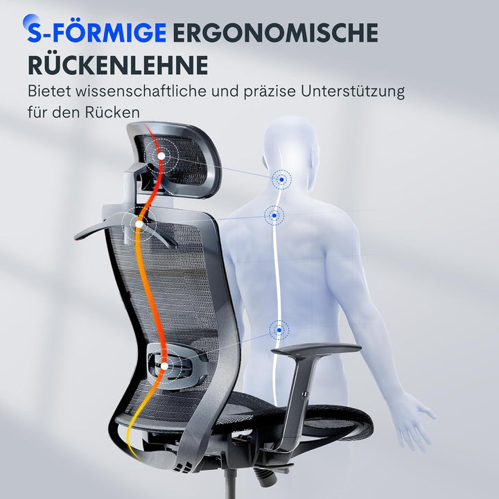 FLEXISPOT OC3 Ergonomischer Bürostuhl, Schreibtischstuhl mit Verstellbarer Kopfstütze & Lendenstütze