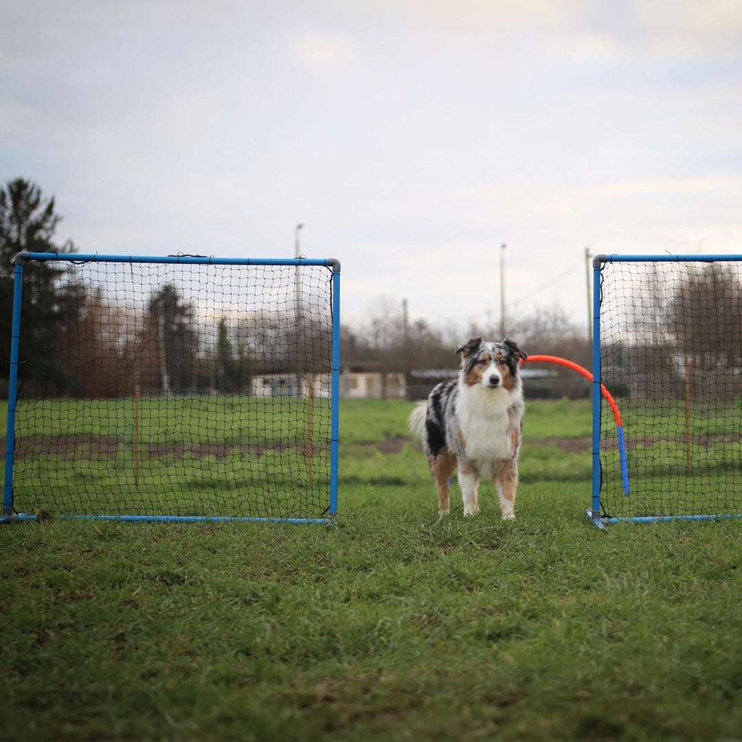 Lemodo Hoopers Agility Fence, Zaun für Hundesport, Trennzaun mit Tragetasche, Hundetraining