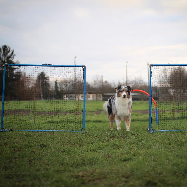 Lemodo Hoopers Agility Fence, Zaun für Hundesport, Trennzaun mit Tragetasche, Hundetraining