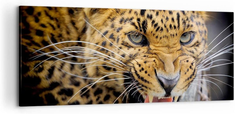 Wandbilder Dekoration Wohnzimmer Leopard tier savanne afrika Panorama Bilder auf Leinwand 120x50cm L