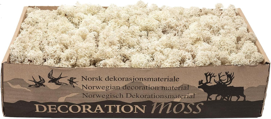 Karton Islandmoos Natur - 500g