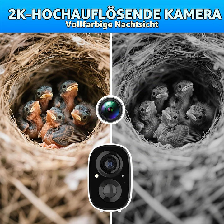 Smart Vogel Häuser für Aussen Solar Powered, 4MP Vogelhaus Kamera für Outdoor, Watch Vogel Nesting &amp;