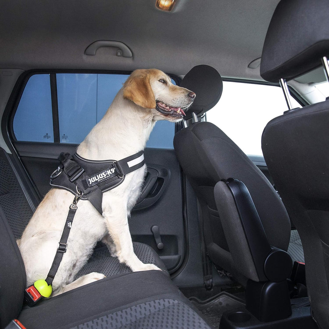 Julius-K9 16SD, StopDog Autoleine für Hunde 0-300 kg Schwarz mit einer Silikonabdeckung, 0-300 kg Sc