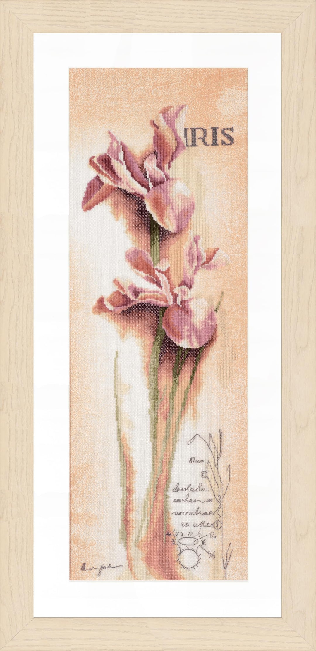 Lanarte Zählmusterpackung Iris Botanisch Kreuzstichpackung, Baumwolle, Mehrfarbig, 20 x 60 x 0.3 cm