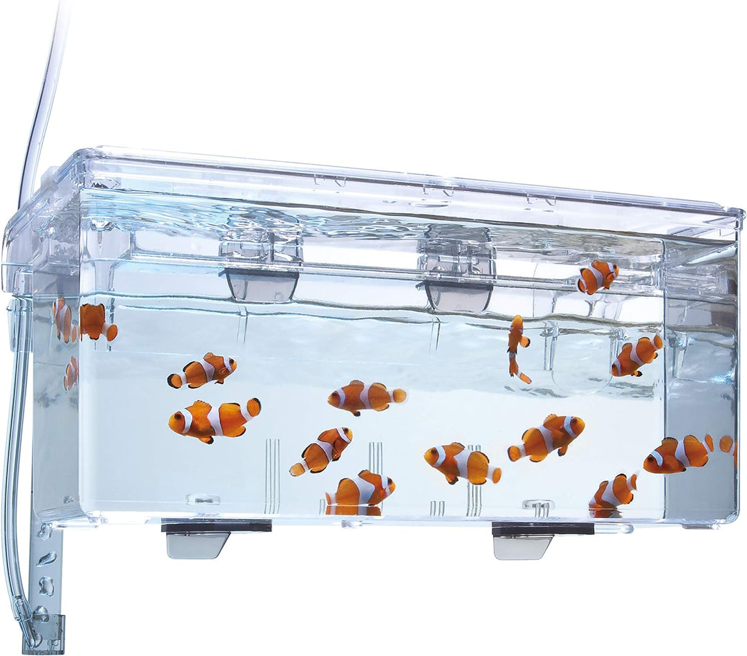 Fluval Hang-On Aufzuchtbecken L, mit 1,9L Fassungsvermögen, für Fische, fürs Aquarium 1,9 L, 1,9 L