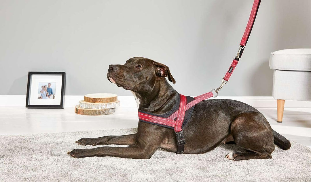 Hundegeschirr Soft & Safe reflektierend, Gr.-1: 28-35cm cayenne/schwarz 28 - 35 cm cayenne/schwarz,