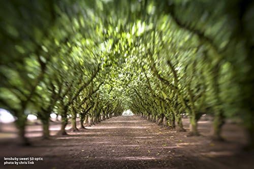 LensBaby - Sweet 50 Optic - Unerwartete Tiefe und Bewegung - Feiner Schärfepunkt - Für Porträts, Lan