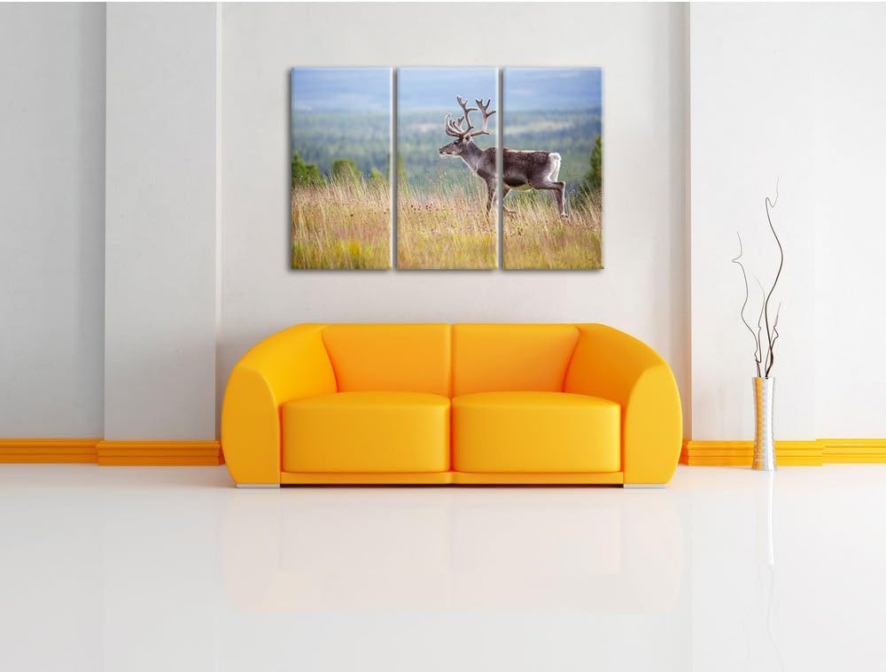Pixxprint Rentier in Norwegen als Leinwandbild | Grösse: 3 Teilig (120x80) | Wandbild| Kunstdruck |