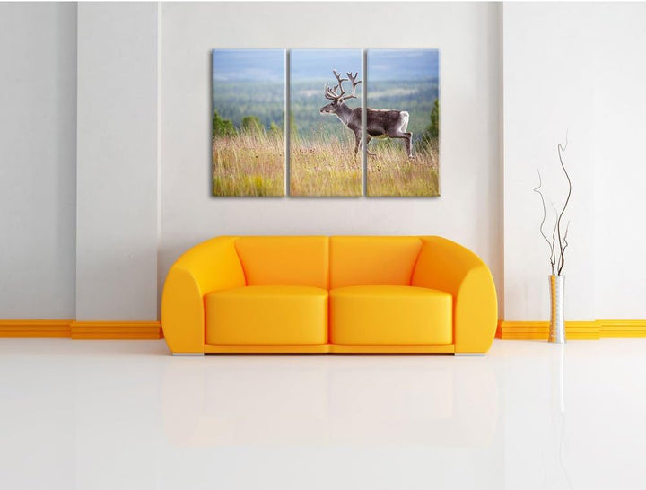 Pixxprint Rentier in Norwegen als Leinwandbild | Grösse: 3 Teilig (120x80) | Wandbild| Kunstdruck |
