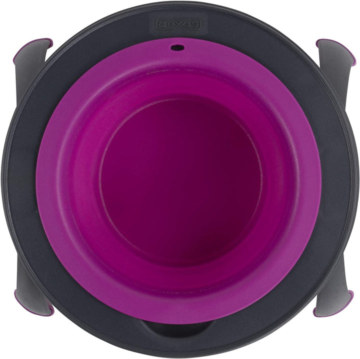 Dexas Pets Futternapf, erhöht, für 4 Tassen, Fuchsia, gross Large/4 Cup Capacity Fuchsia, Large/4 Cu