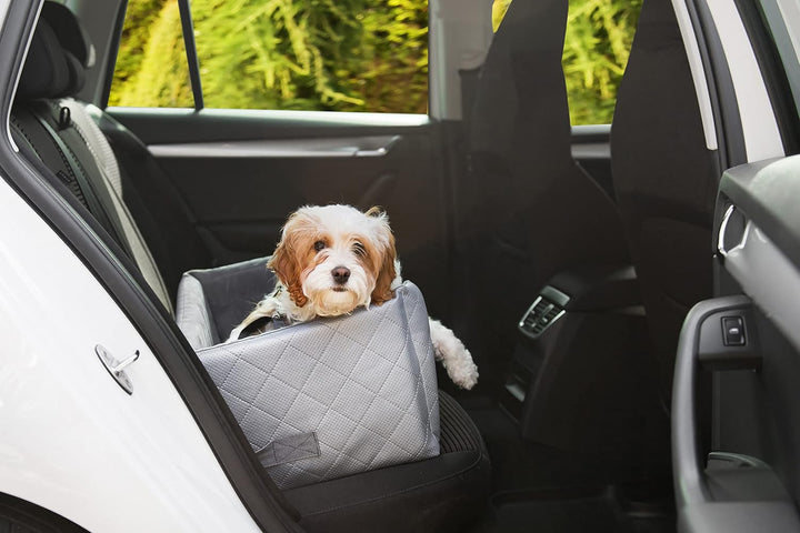 Exclusive Hunde Autositz | Autositz für Hunde, Katzen, Haustier | Rückbank, Beifahrersitz | Hundebet