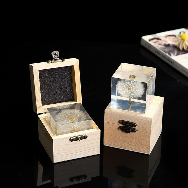 DESHINTKE Briefbeschwerer mit Pusteblume in Würfelform, mit Holzbox, 5,1 cm, transparent, echte Löwe