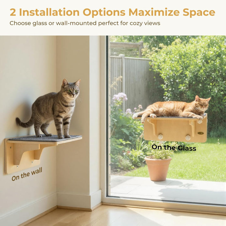 pecute Kletterwand Katzen, 2-in-1 für Wand & Glas, Katzenkletterwand mit Waschbar Abnehmbar Filzunte