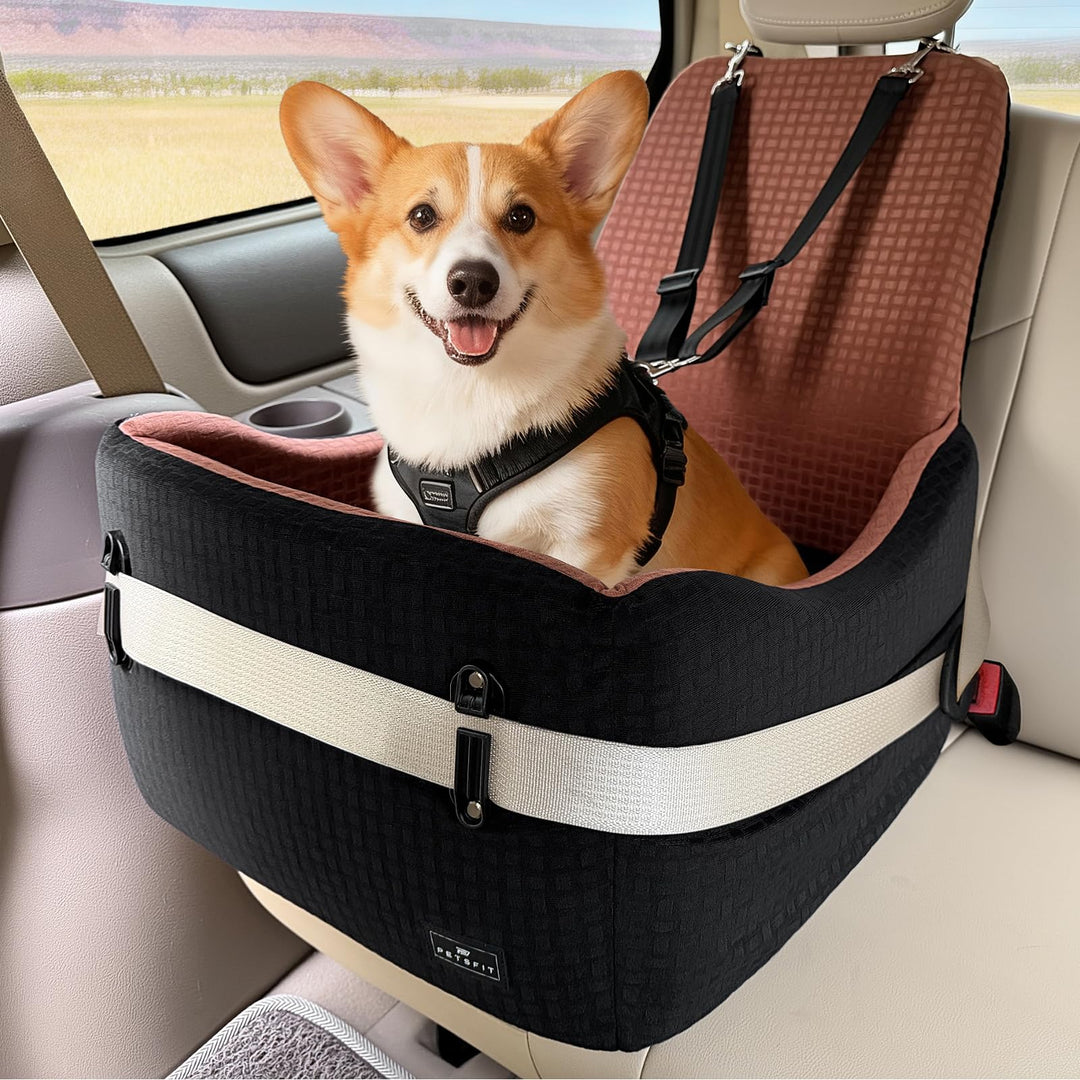 PETSFIT Autositz für kleine/mittelgrosse Hunde bis 15 kg – Patentiertes Sicherheitssystem, 15cm Erhö