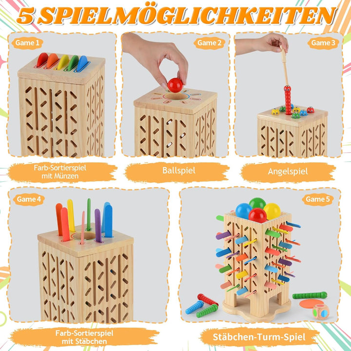 Montessori Spielzeug ab 3 Jahre, Sensorik Spielzeug Montessori Spielzeug ab 1 Jahr, 5-in-1 Holz Sort