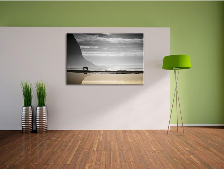Pixxprint Pferd am Ufer Einer Insel als Leinwandbild | Grösse: 100x70 cm | Wandbild| Kunstdruck | fe