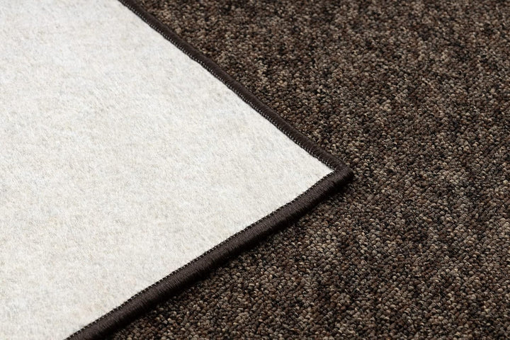 rugsx Teppich Superstar 888 Teppichboden für Zimmer, Wohnzimmer, Büro, braun 300x350 cm 300 x 350 cm