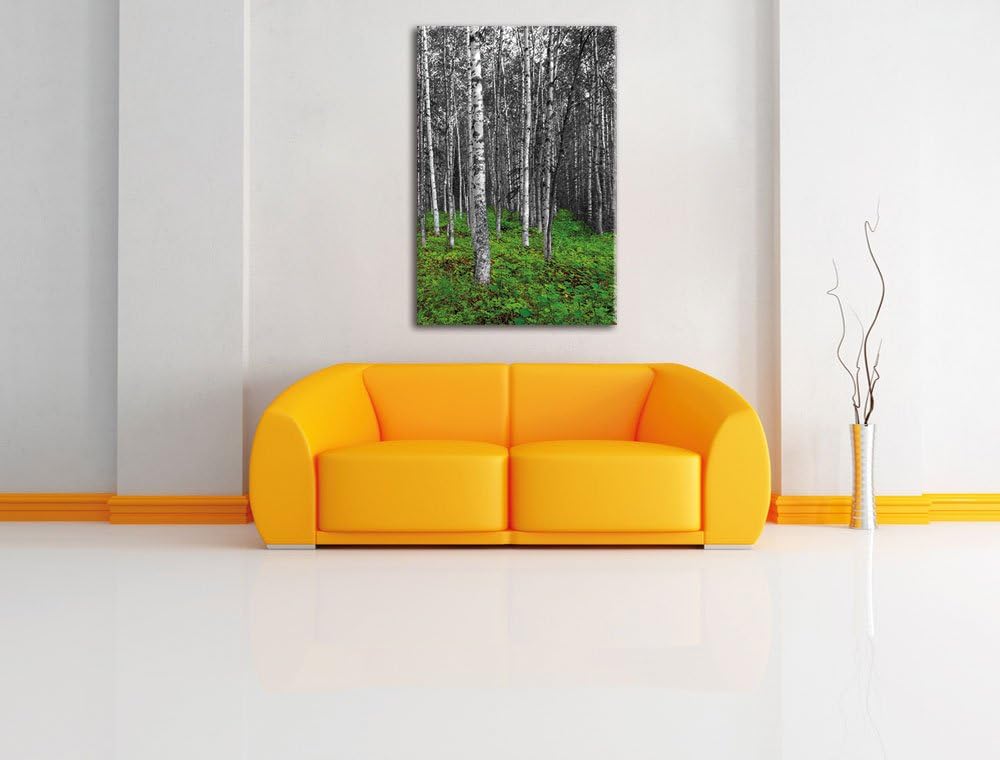 Pixxprint Kleiner ansehnlicher Birkenwald als Leinwandbild/Grösse: 120x80 / Wandbild/Kunstdruck/fert