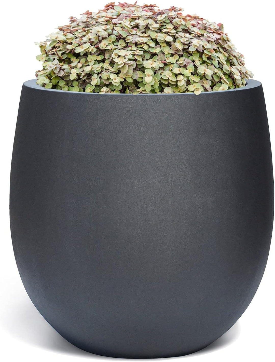 ESCHBACH® Pflanzkübel HIGH Balloon 60 Anthrazit Schwarz Rund XL * 55 x 55 x 55 cm * 10 Jahre Garanti
