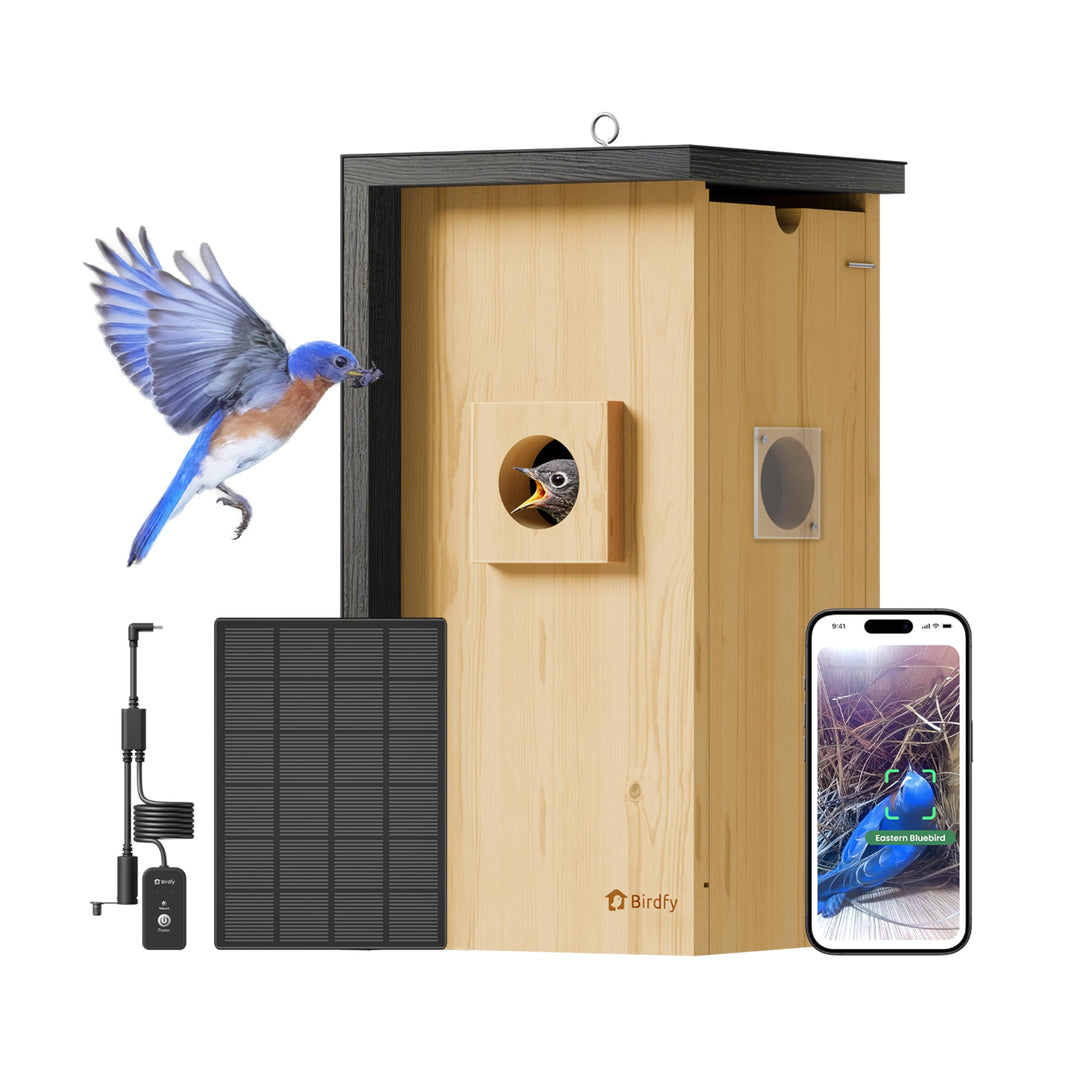 Birdfy Vogelhaus mit Kamera,Nistkasten mit Kamera, 2 Millionen Pixel Outdoor-Vogelhaus-Kamera, Echtz
