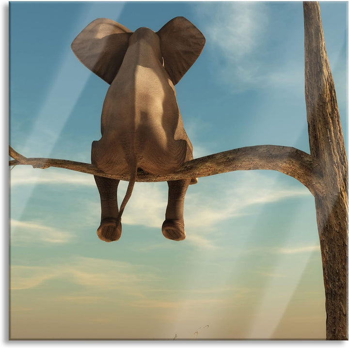 Pixxprint Glasbild | Wandbild auf Echtglas | Elefant auf einem Ast in der Wüste | 60x60 cm | inkl. A