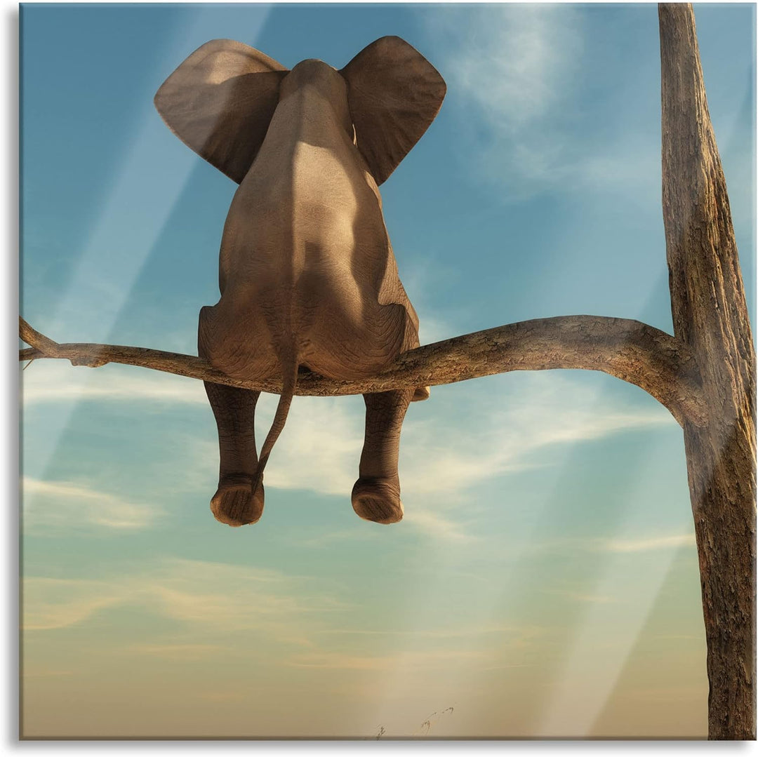 Pixxprint Glasbild | Wandbild auf Echtglas | Elefant auf einem Ast in der Wüste | 70x70 cm | inkl. A