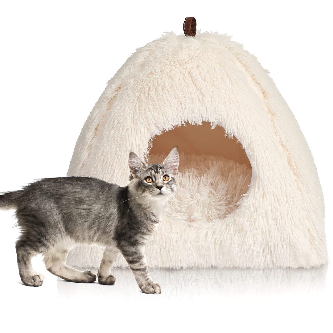 CATISM Katzenbett Waschbar Katzenschlafplatz für Katzen Katzenhöhle Plüsch Haustier Katzenkopfkissen
