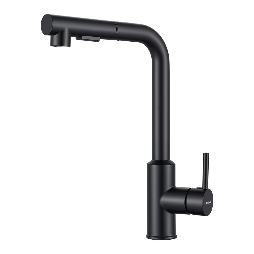 Wasserhahn Küche, Küchenarmatur mit Brause Ausziehbar Schwarz, Schwarz