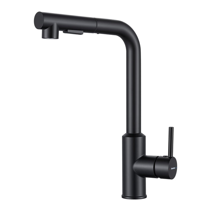 Wasserhahn Küche, Küchenarmatur mit Brause Ausziehbar Schwarz, Schwarz
