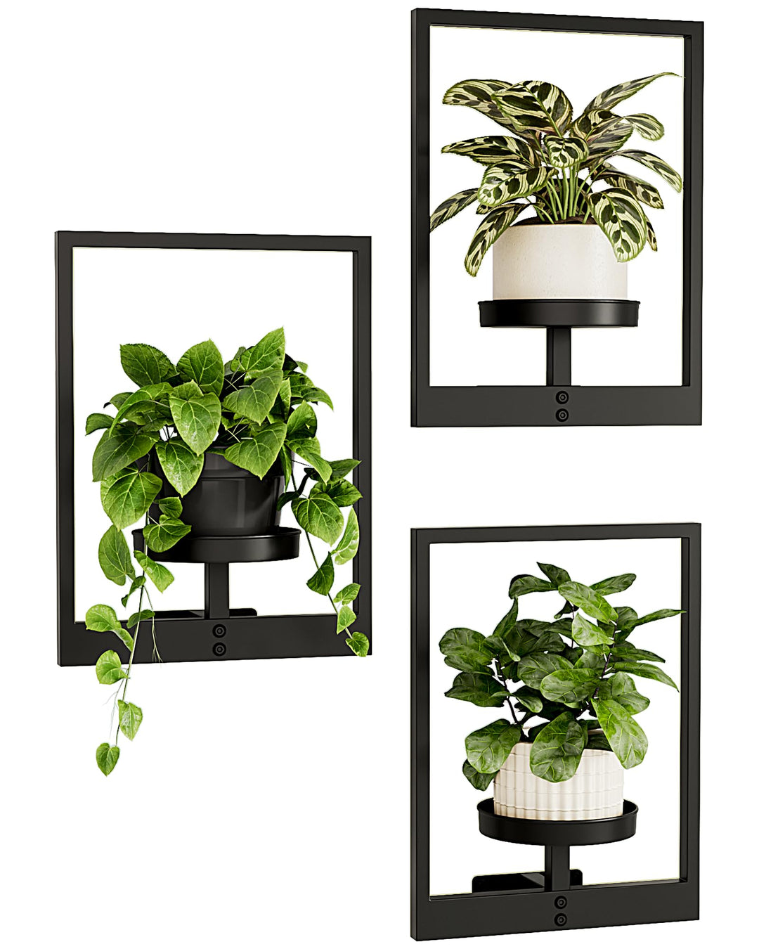 Bamworld Wandbehang Pflanzgefässe für Zimmerpflanzen 3 Set Wand Blumenständer Moderner Pflanzenständ