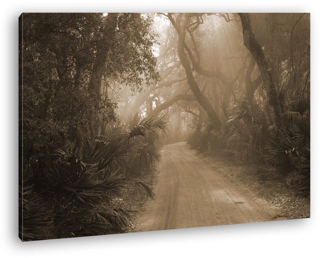 deyoli tropischer Waldweg Format: 80x60 Effekt: Sepia als Leinwand, Motiv fertig gerahmt auf Echthol