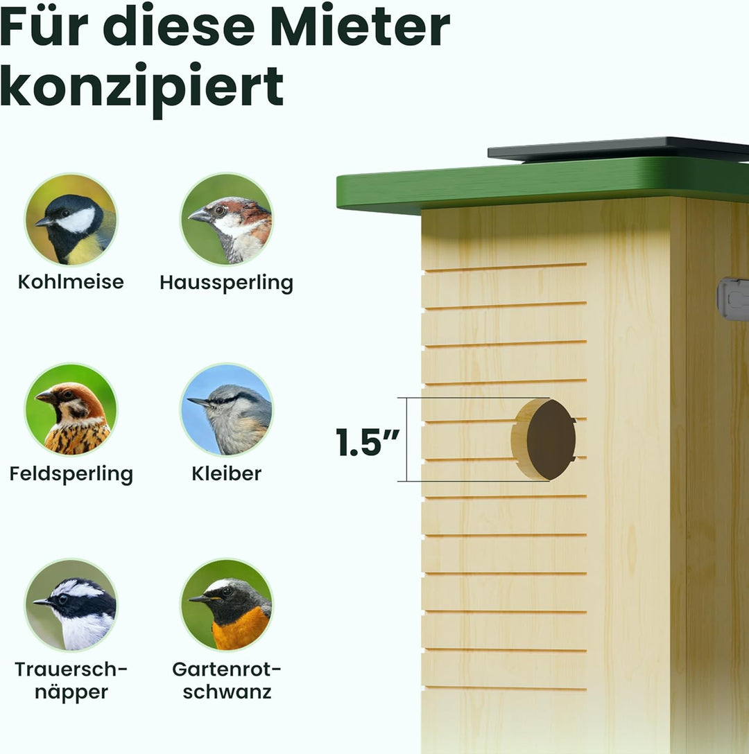 Birdfy Vogelhaus mit Kamera Solar, 1080P FHD Live-View, Echtzeitbeobachtung des Nestbaus und der Bru