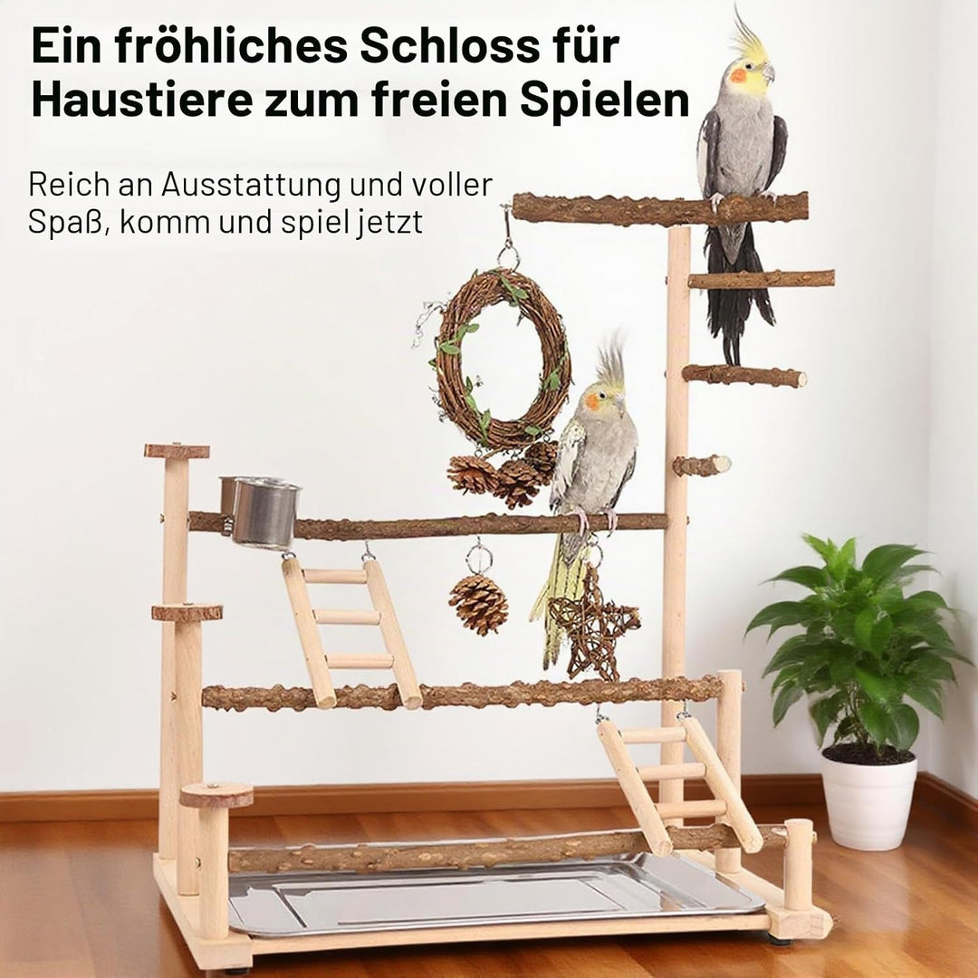Vogelspielplatz Wellensittich Spielplatz Spielzeug, Grosser vogel Spielplatz mit Schaukel Sitzstange