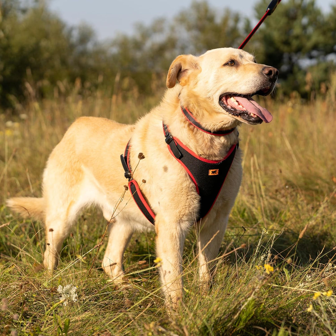 Ferplast Hundegeschirr grosse Hunde Geschirr Hunde mit Polsterung ERGOCOMFORT XL, Halsumfang: 60-70