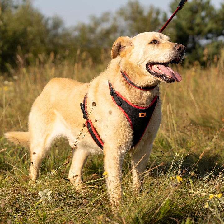 Ferplast Hundegeschirr grosse Hunde Geschirr Hunde mit Polsterung ERGOCOMFORT XL, Halsumfang: 60-70